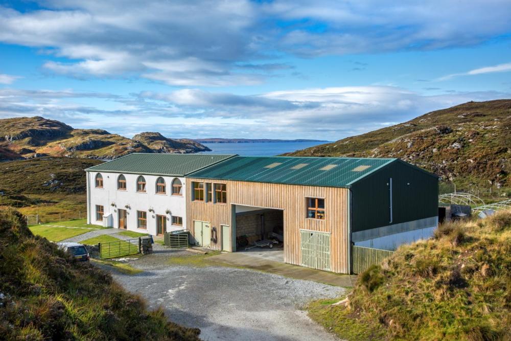 Kirkaig Lodge Swallows nest