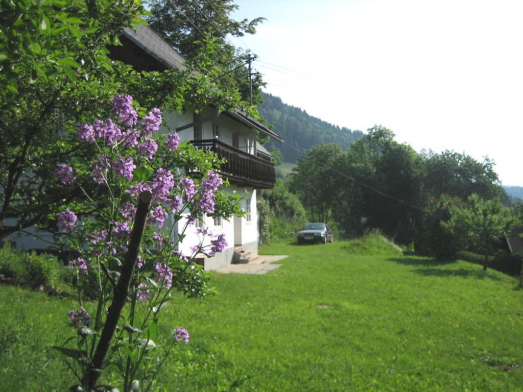 Ferienhaus Mesnerhaus Steuerberg - 3