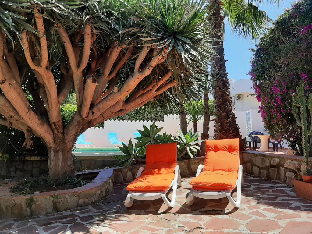 Villa Limon - Tropical Oasis with Private Pool - 3