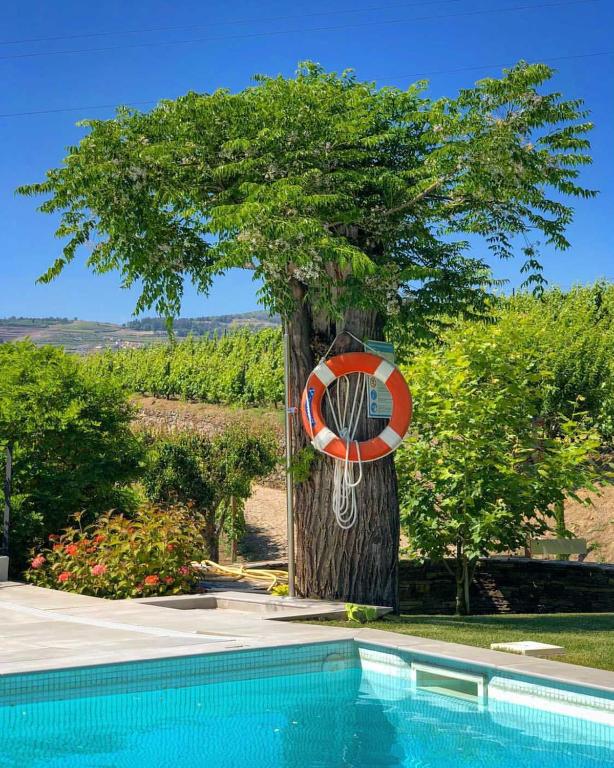 Quinta da Salada - Turismo Rural photo