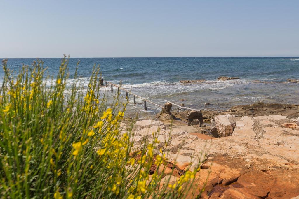 Villa Lucia Umag photo