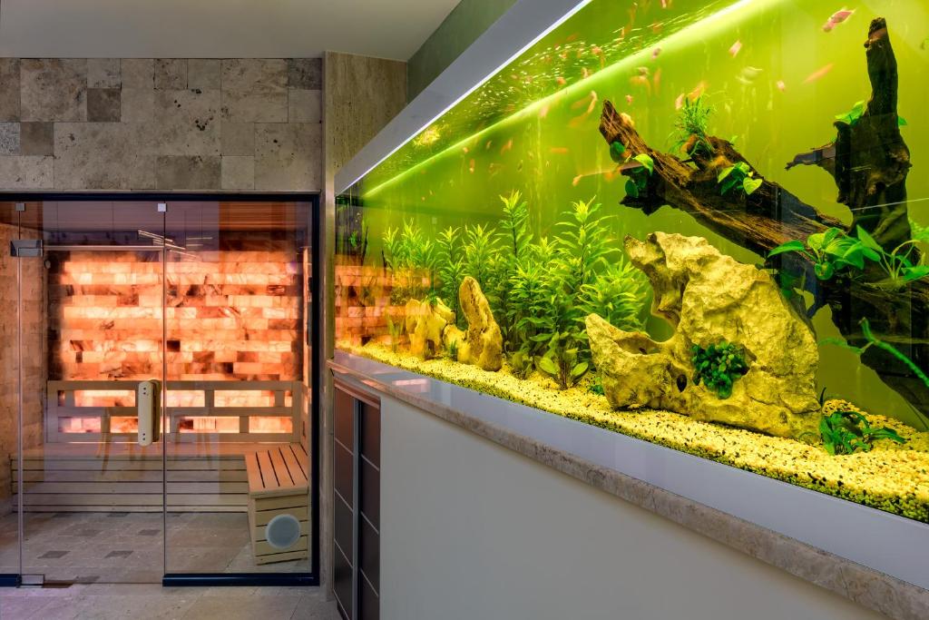 National Palace Wine & Spa Hotel — Sliven, Sliven