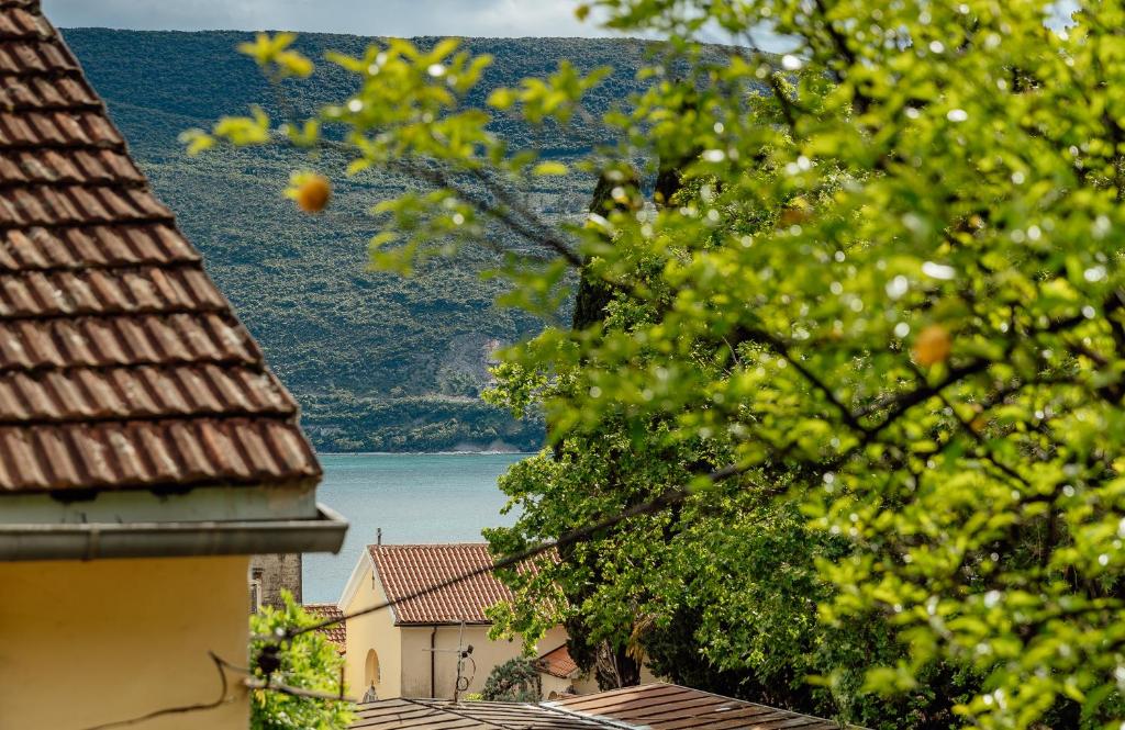 Apartman Glicinija photo