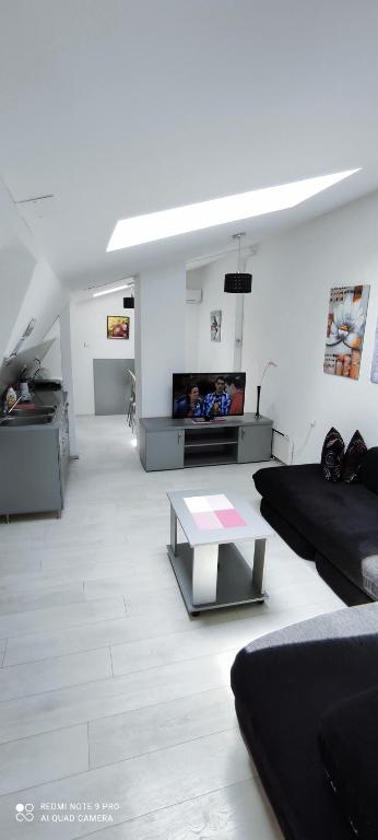 Stevan Sremac, Soko Banja