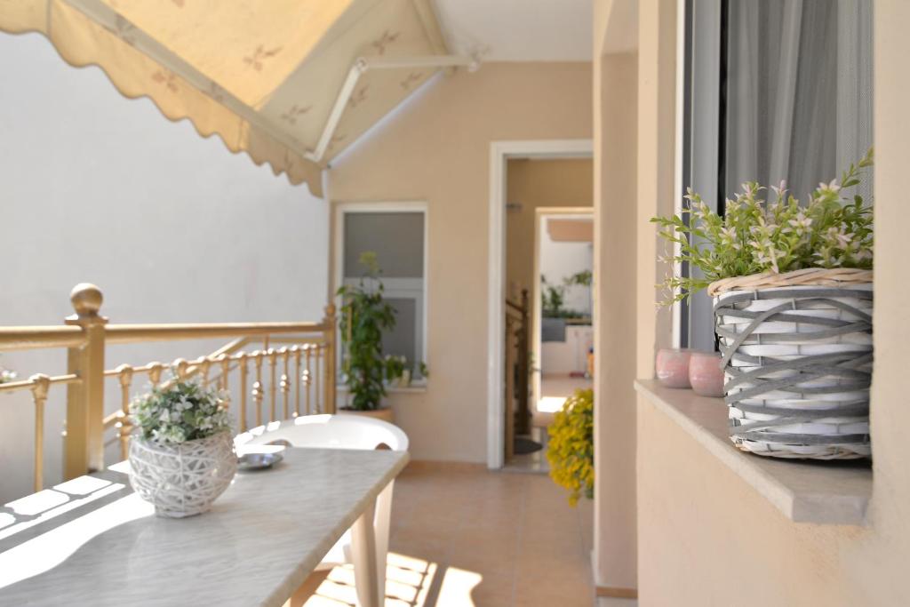 VILA ELVINA photo
