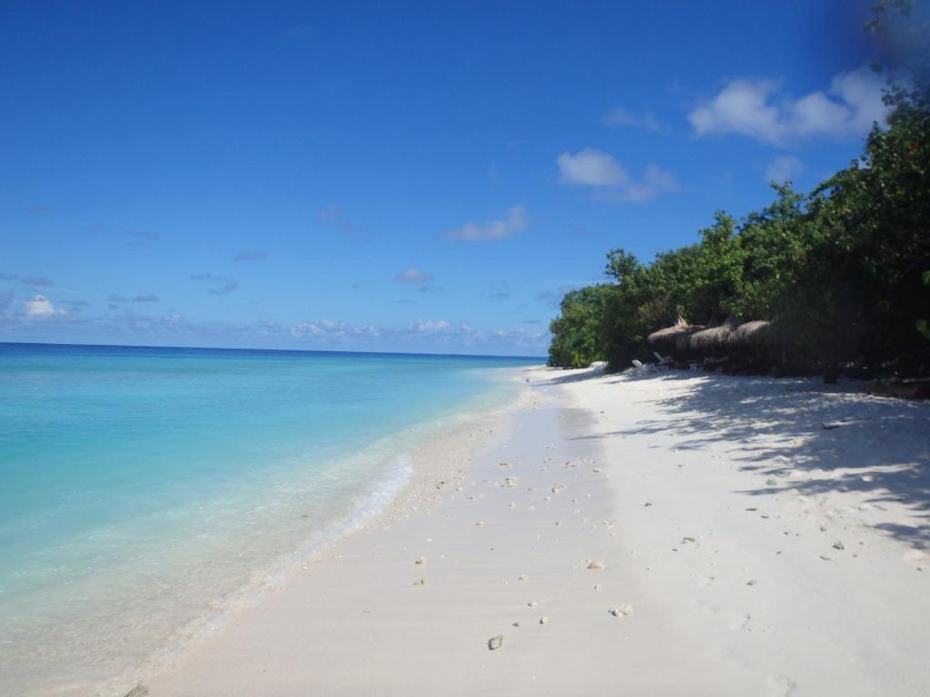 Beach Veli photo
