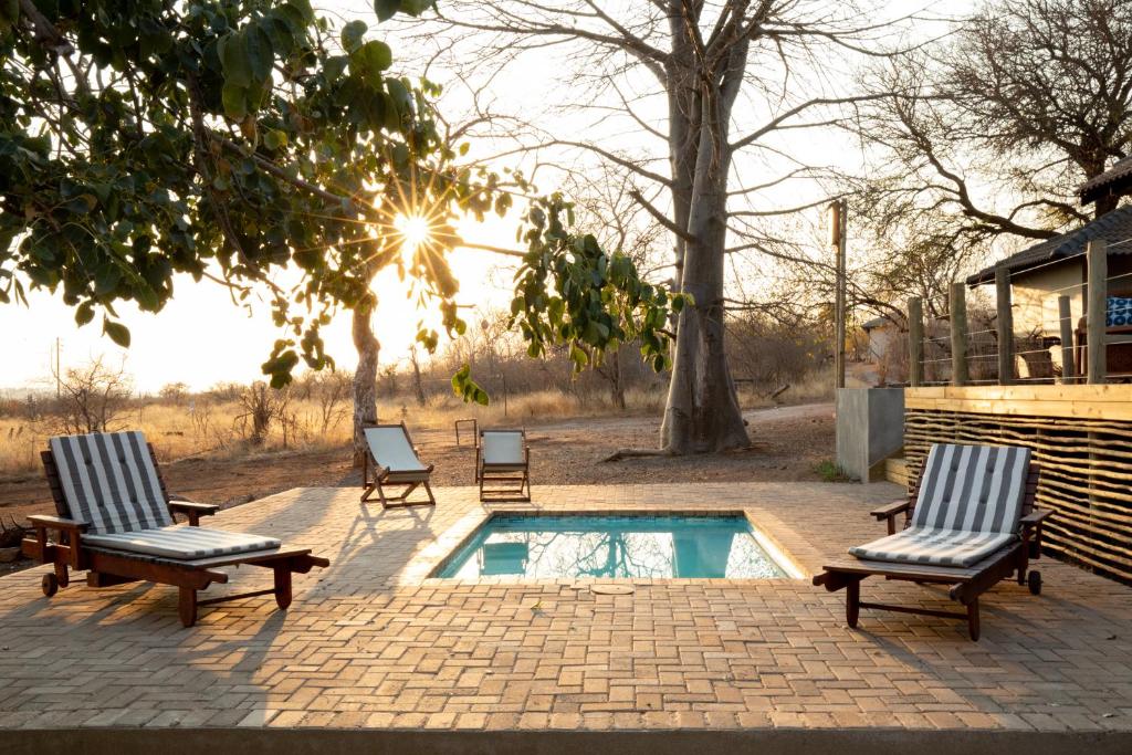 Antares Bush Camp & Safaris photo