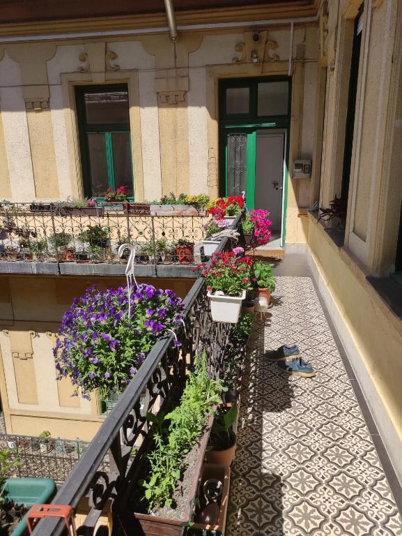 Congress Margit house photo