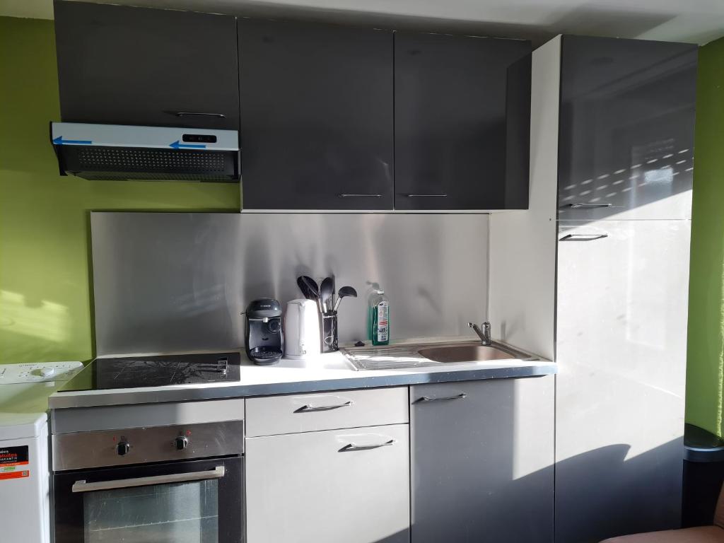 Duplex Savane, Lille - 4