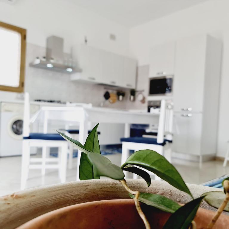 APPARTAMENTO GIOIA - 1