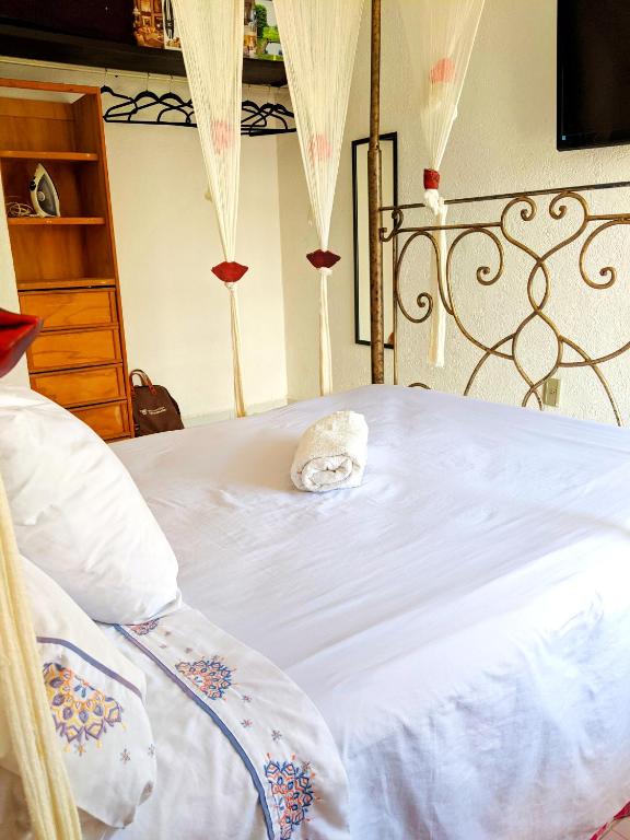 Habitacion Privada, Jacuzzi Rooftop, AC, GRAN Wifi photo