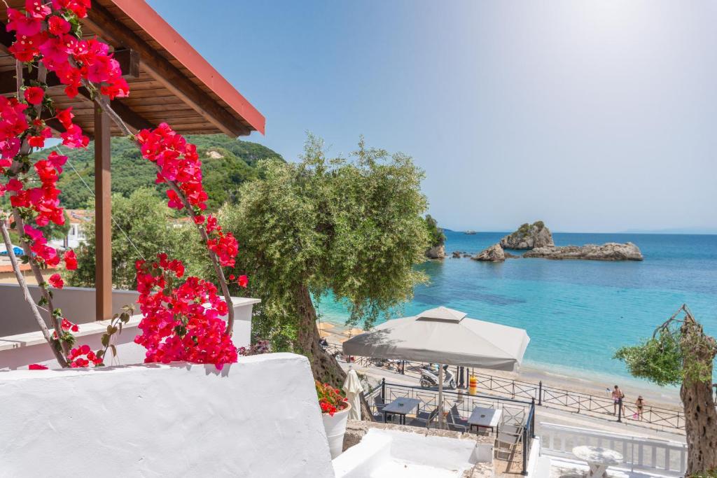 View, Krioneri Beach Studios in Parga