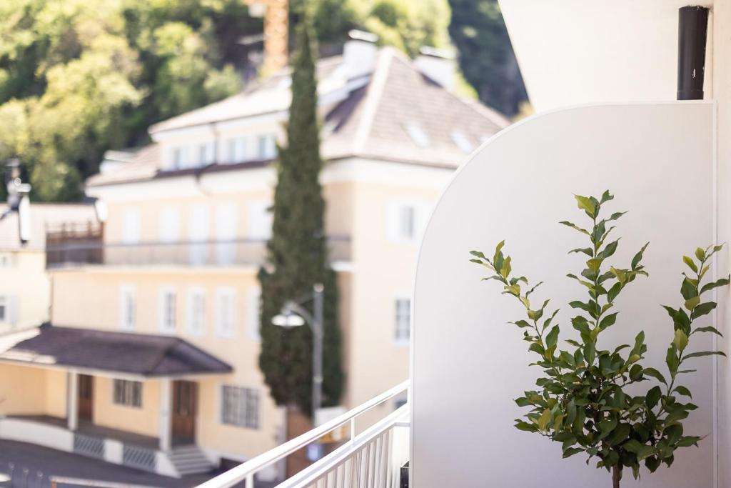 Mondschein Apartments photo