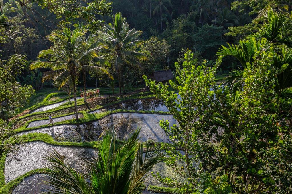 Surrounding environment