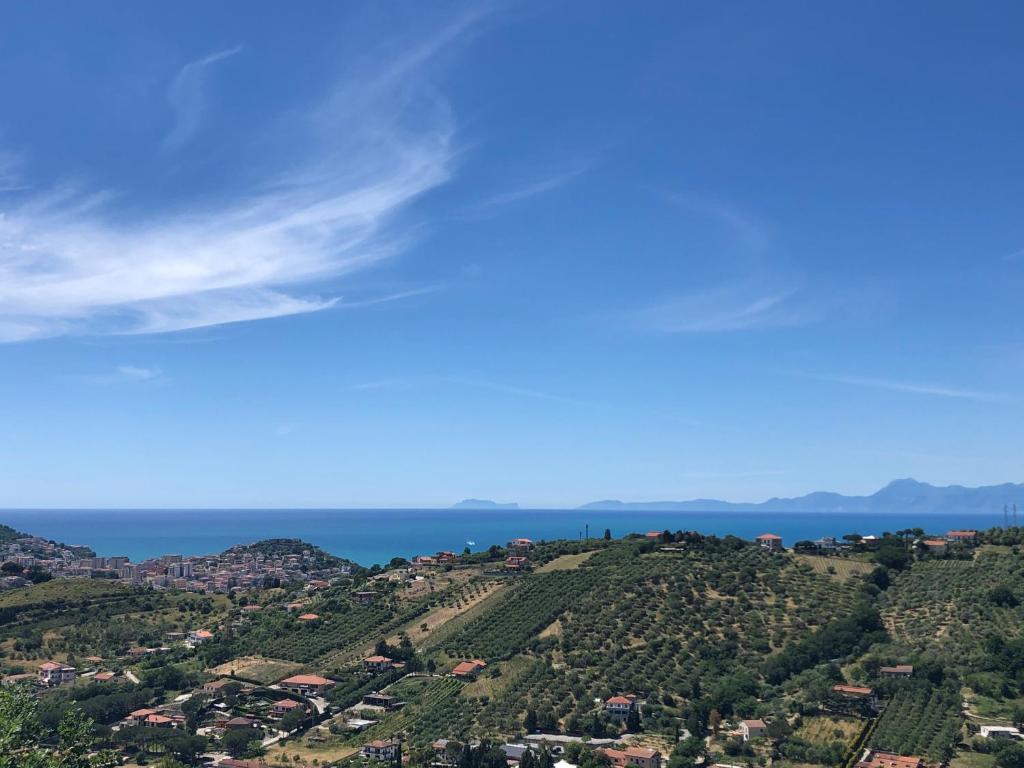 Dolce Basilico - 5