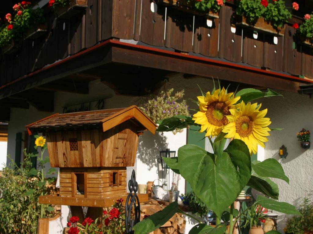 Gästehaus Gmundtal - 4
