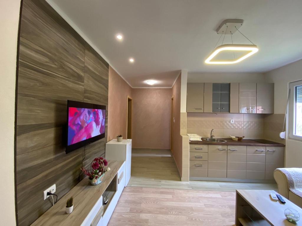 Apartmani Zecevic - 5