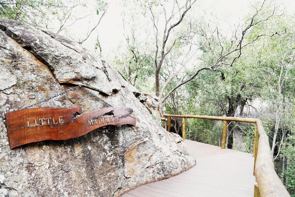Madikwe Hills Private Game Lodge photo