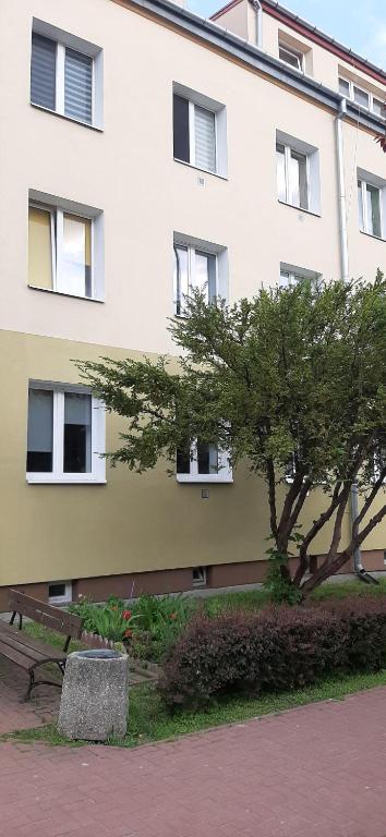 Apartament DELUX Swidnik photo