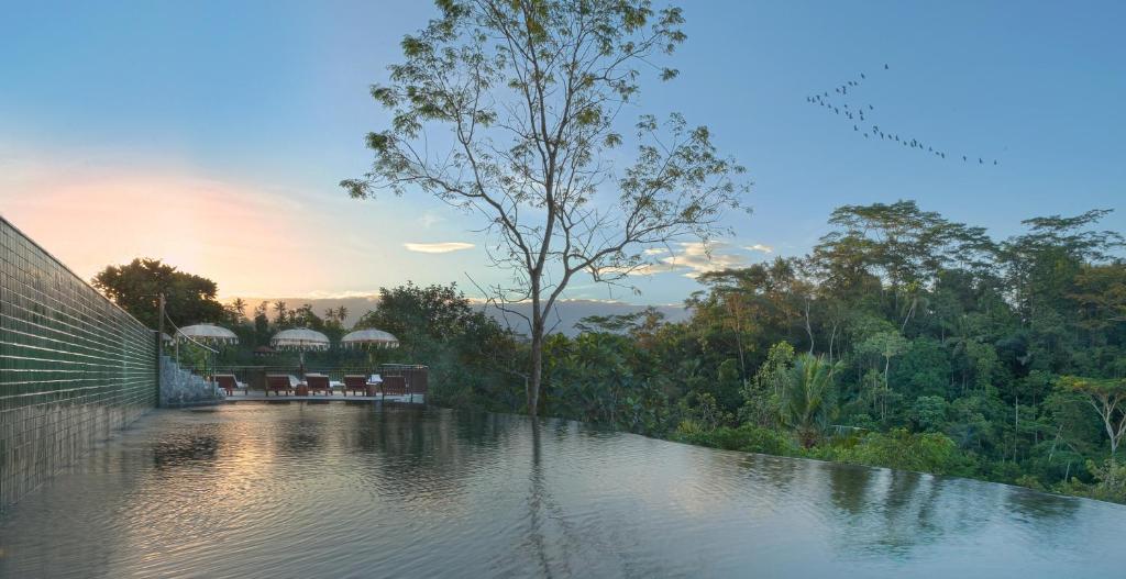 Beautiful natural surroundings