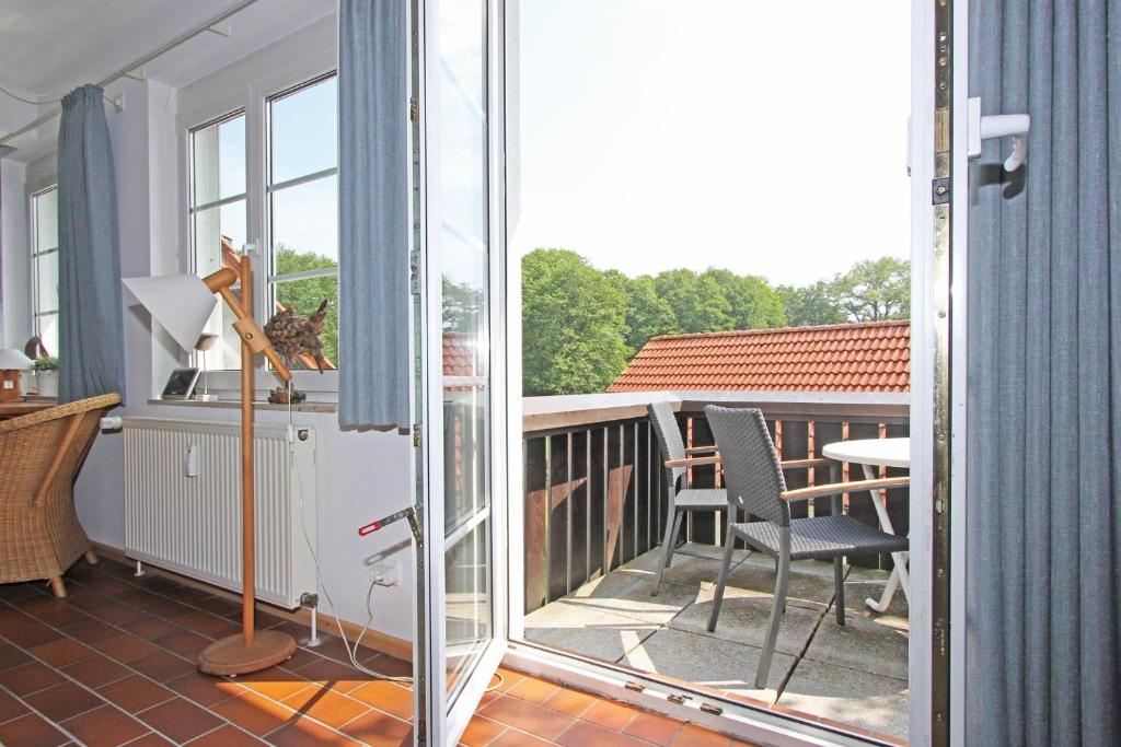 Kormoran Meerjungfrau, Prerow