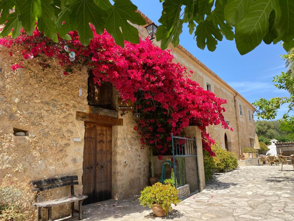 Agroturismo Can Guillo photo
