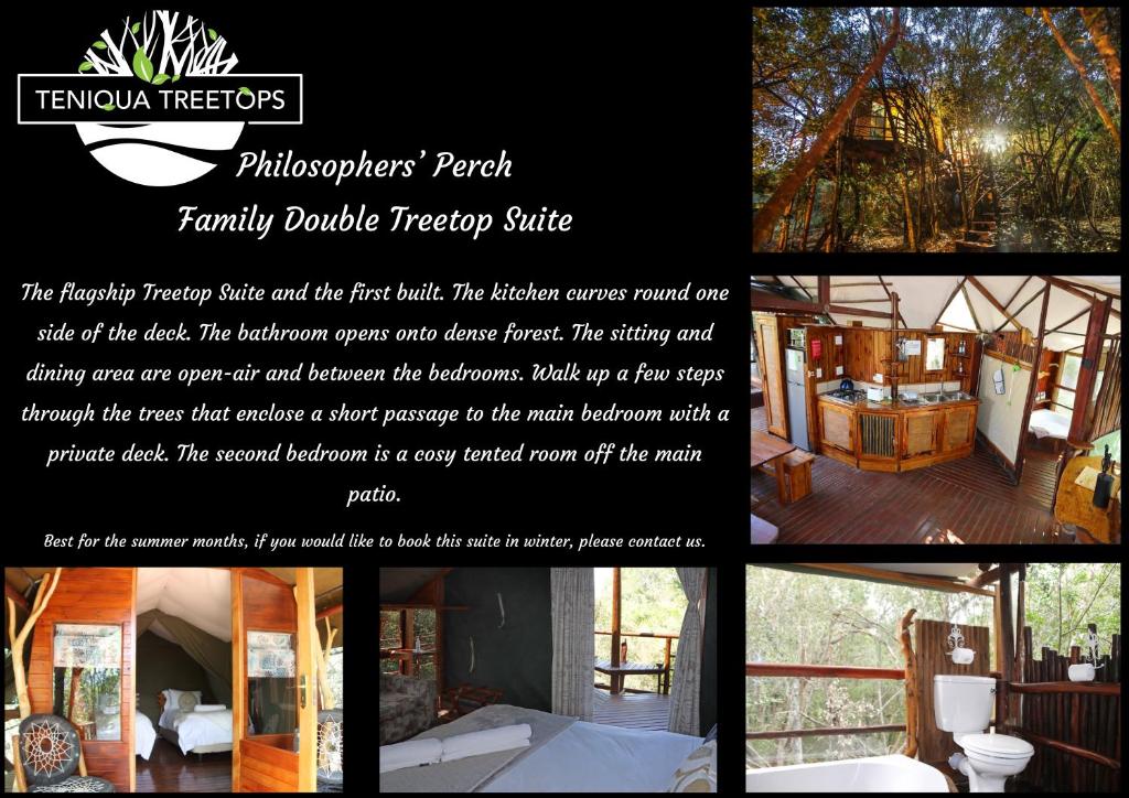 Teniqua Treetops photo