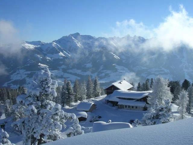 Steinerhaus Berggasthof - 2