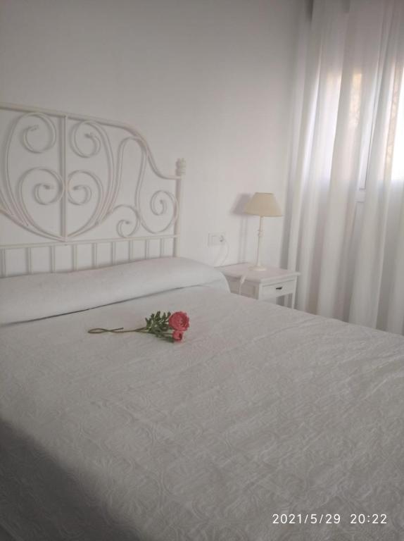 Apartamentos Sanlúcar Beach 2 y 3 - 4