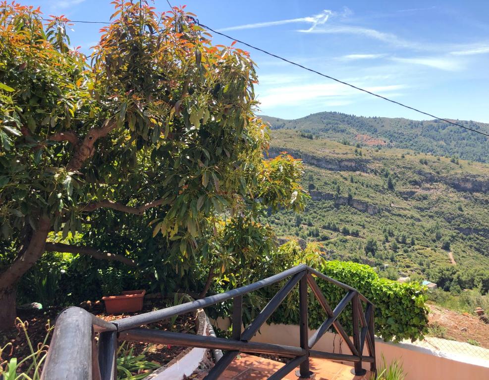 Villa Bonita - 4