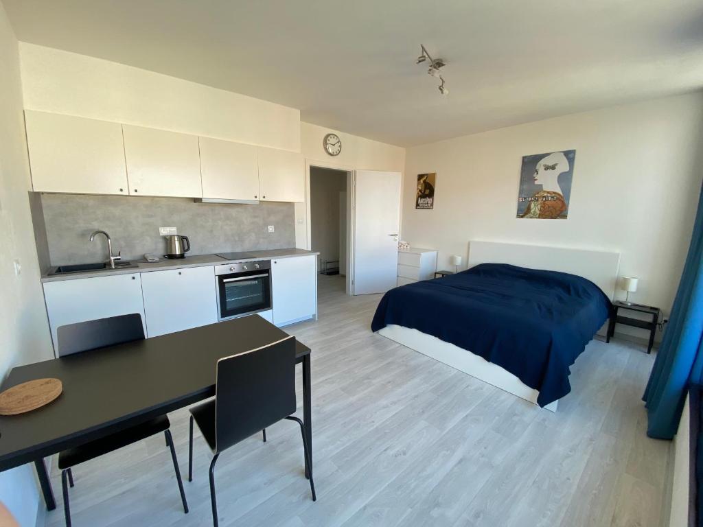 COZY STUDIO WITH GARAGE IN THE CITY CENTER — Hotel in Plzen