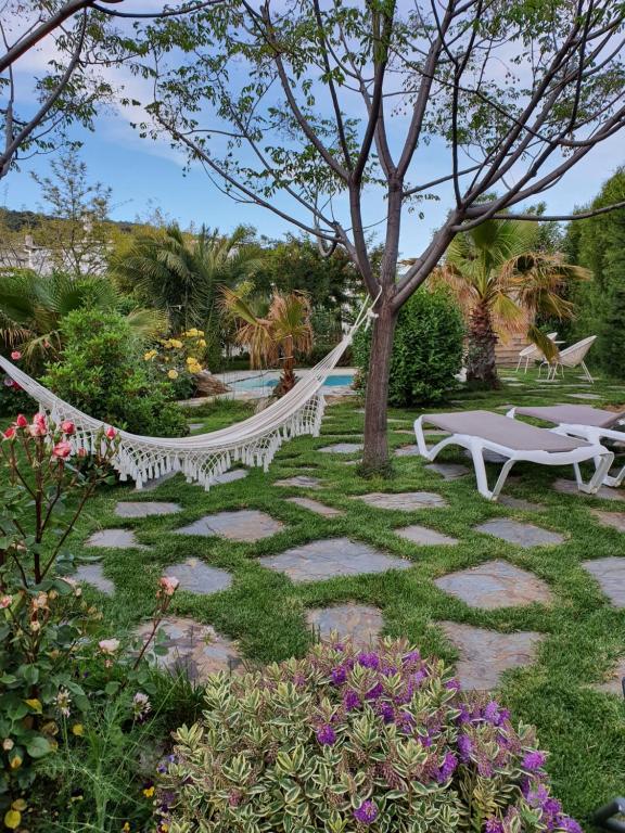 La Placeta Guesthouse photo