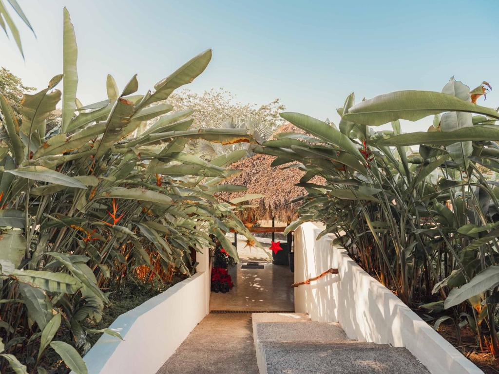 Hotel Maraica San Pancho photo