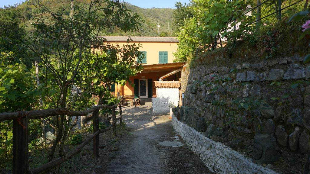 Agriturismo U muinettu - 4