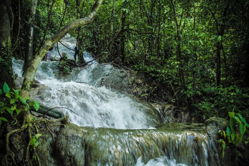 Surrounding environment