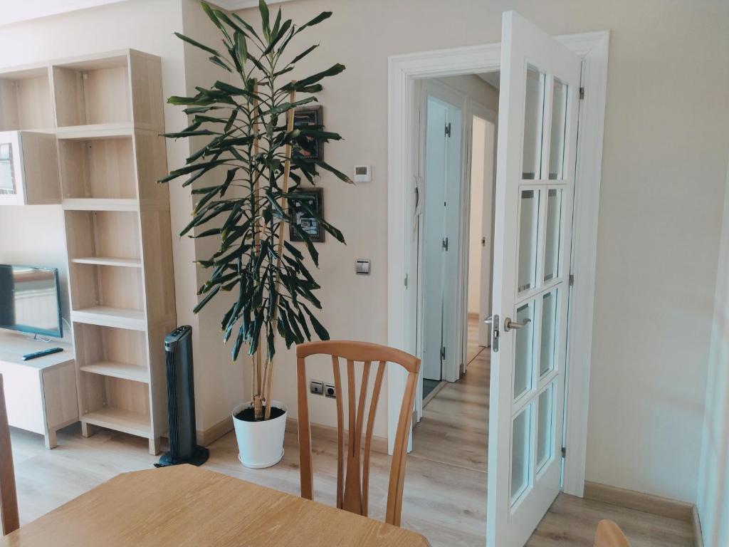 Apartamento Argandona-Gijon - 5