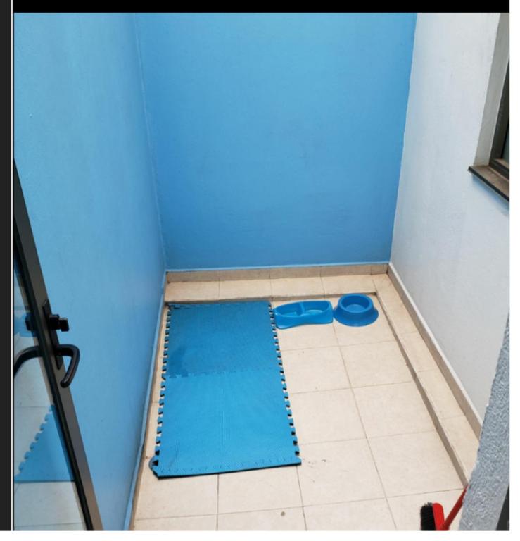 Terraza, Centrico WTC, Condesa, pet friendly - 2