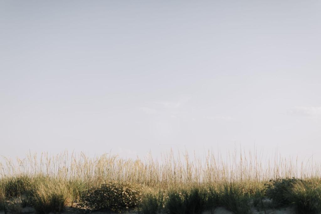 The Beach House A Holiday Inn Resort Photo 29