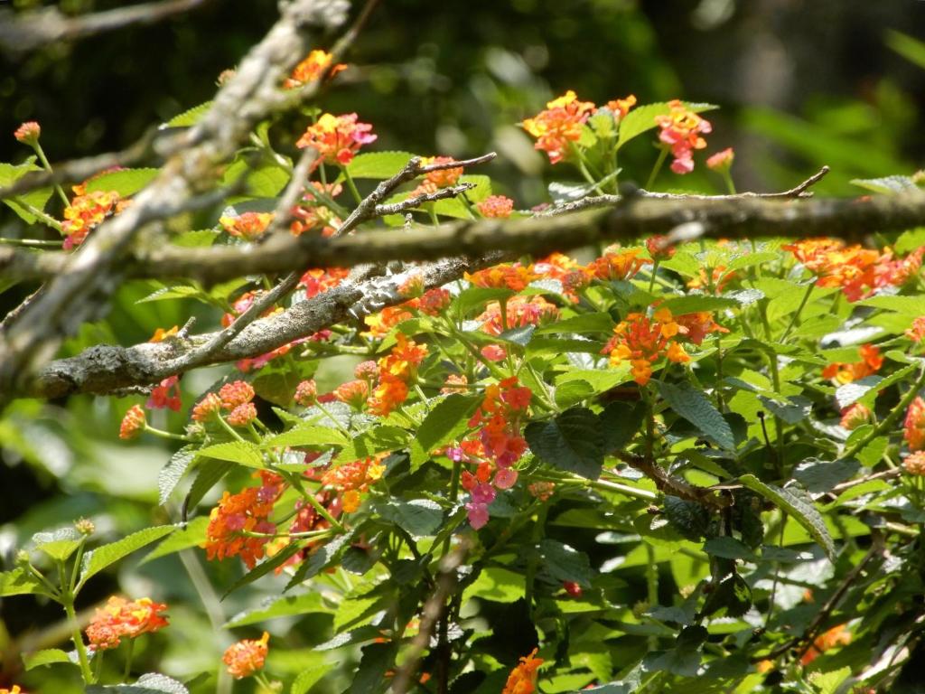 Surrounding environment