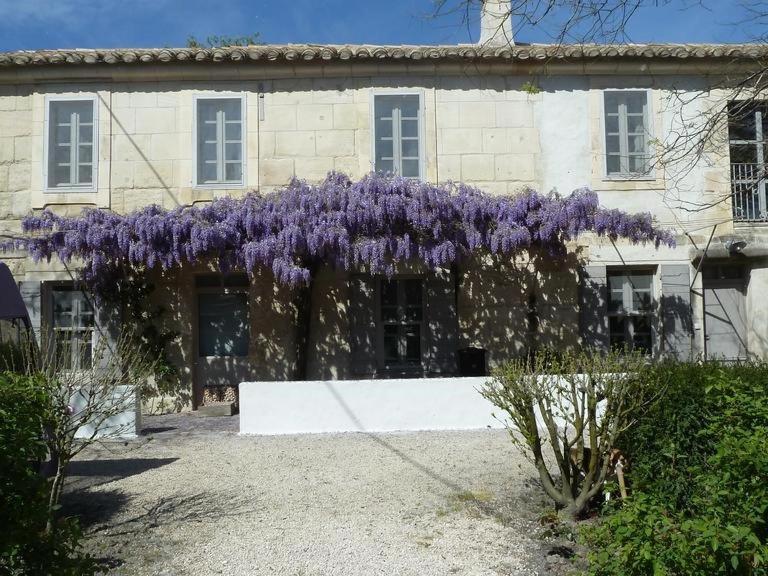 Mas de la Forge - 3