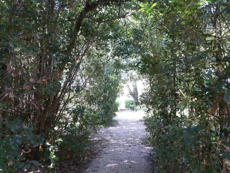Mas de la Forge - 5