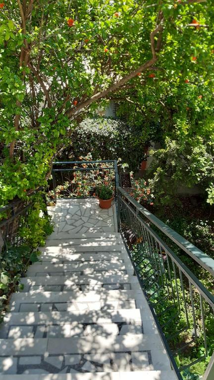 Guesthouse Mixe - 3