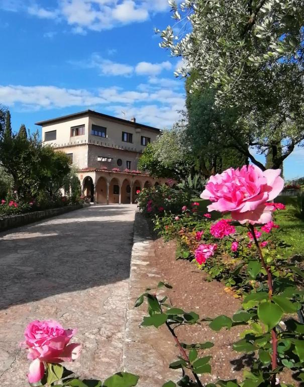 Villa Paradiso - 1