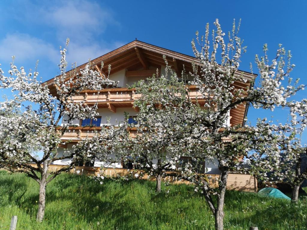 Appartements Höpfl - 2