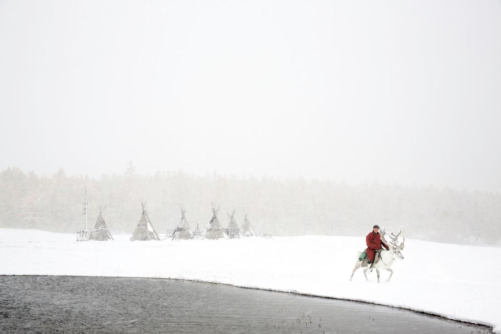 モンゴリア ビジョンツアー ゲストハウス (Mongolian Vision Tours)