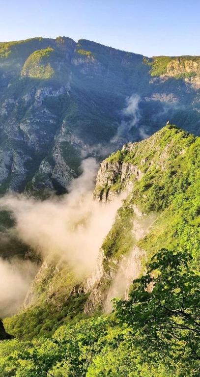 Surrounding environment