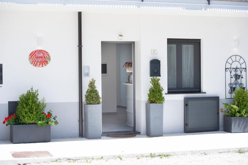 B&B L'Amaranto photo