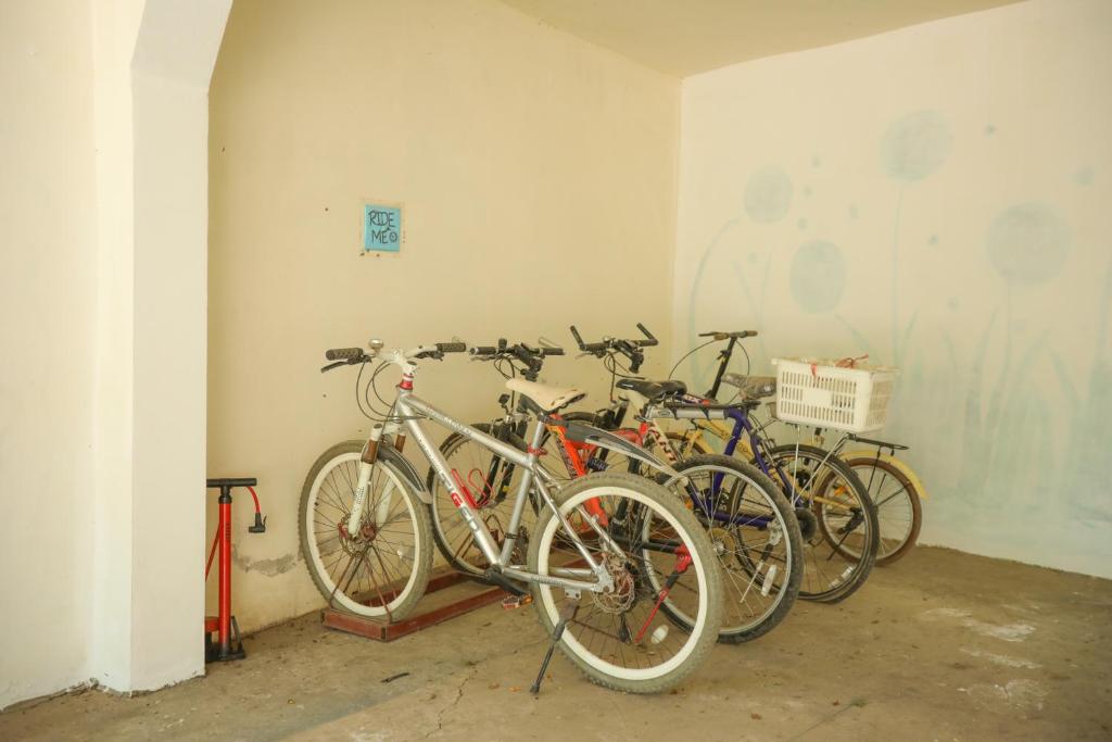 アクティビティ