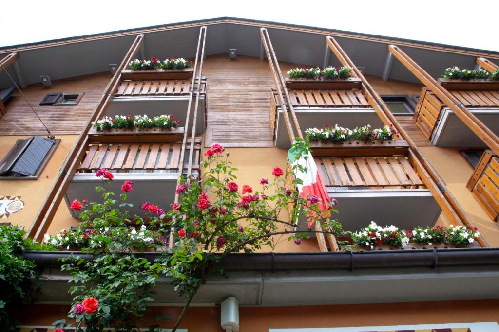 Hotel Moizi photo