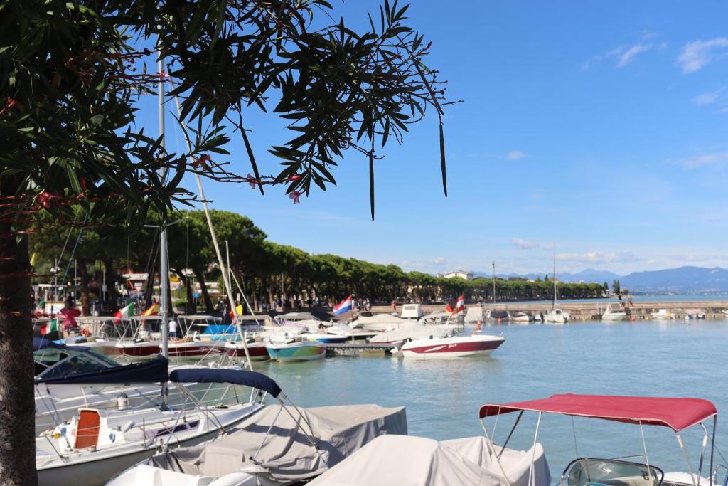 Appartamento ROSY - 3